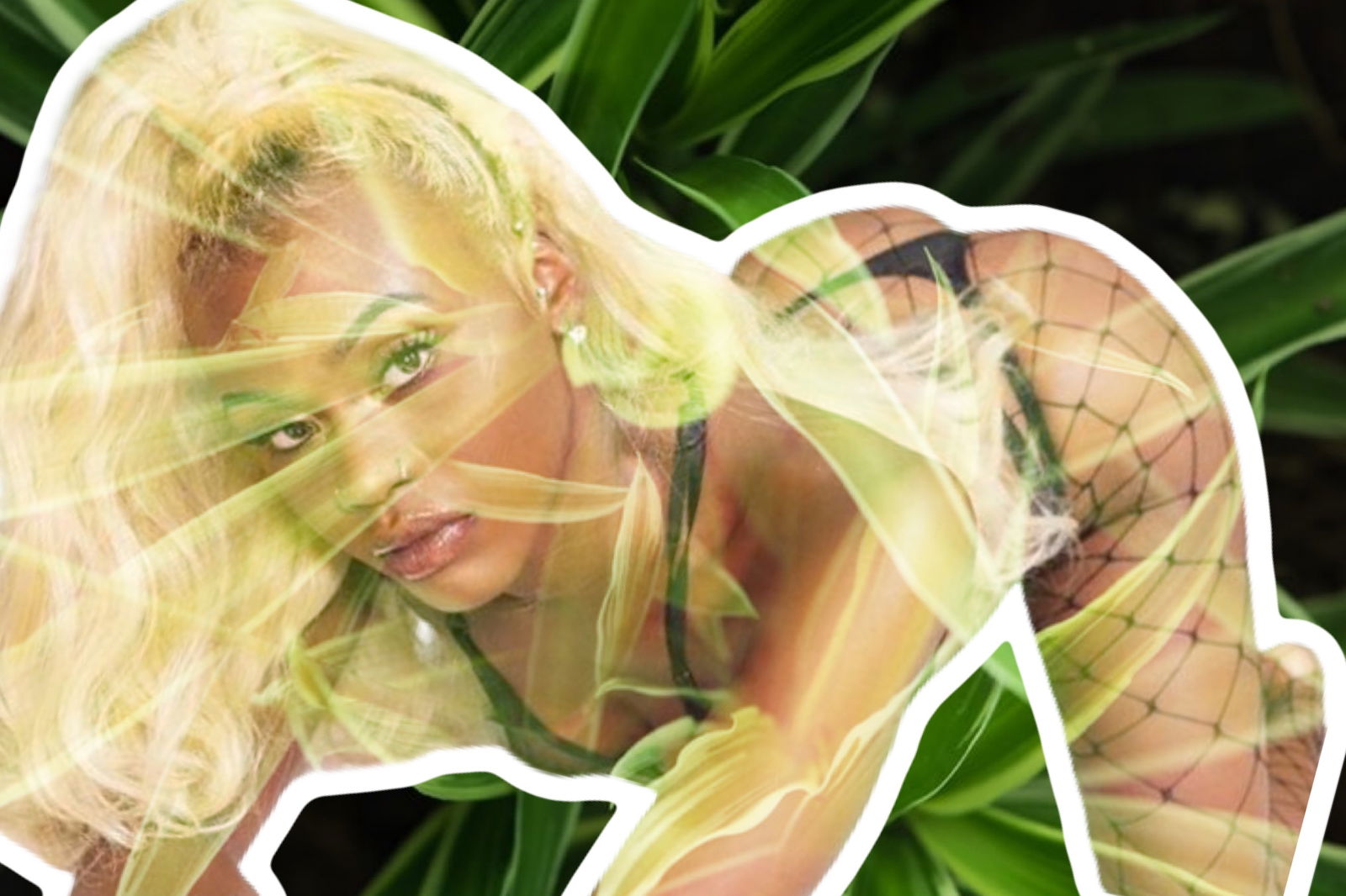 Pure Vixen profile banner