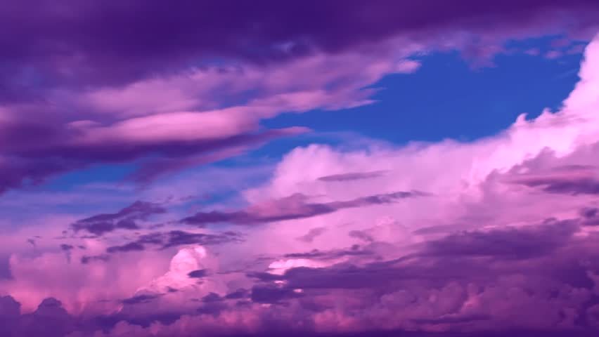Purple-cotton profile banner