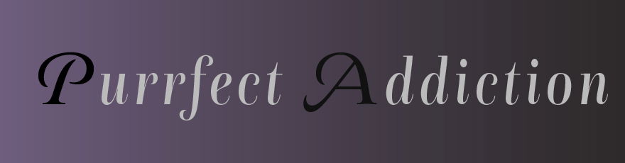 Cat Purrfect profile banner
