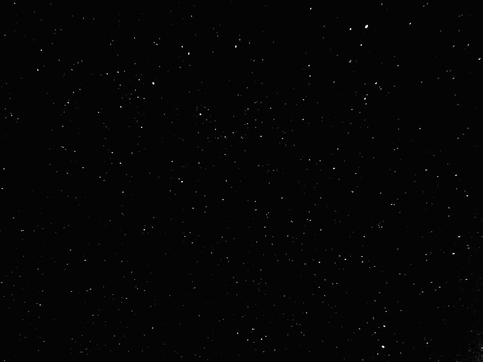 Welcome to my world #kingshit profile banner
