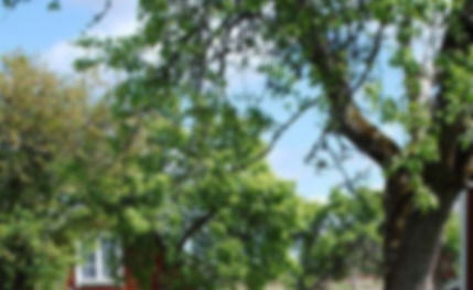 qtee_foxx banner