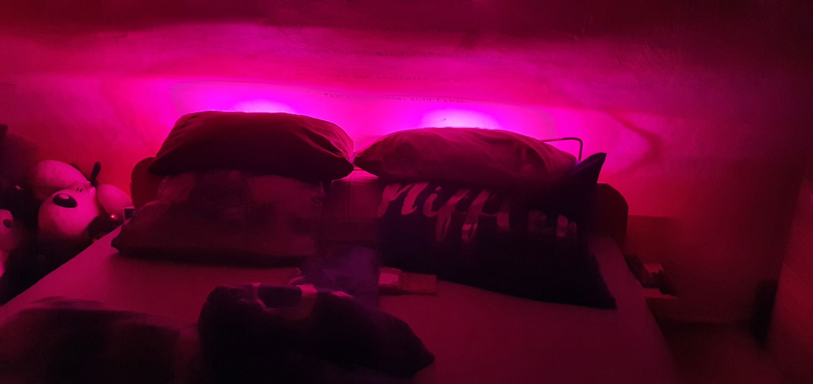 Quack profile banner