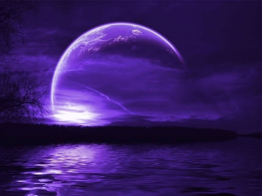 OnMyNeez profile banner