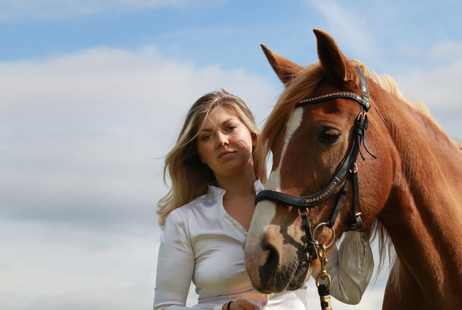 Equestrian Queen Sasja Luna 👸🏼 profile banner