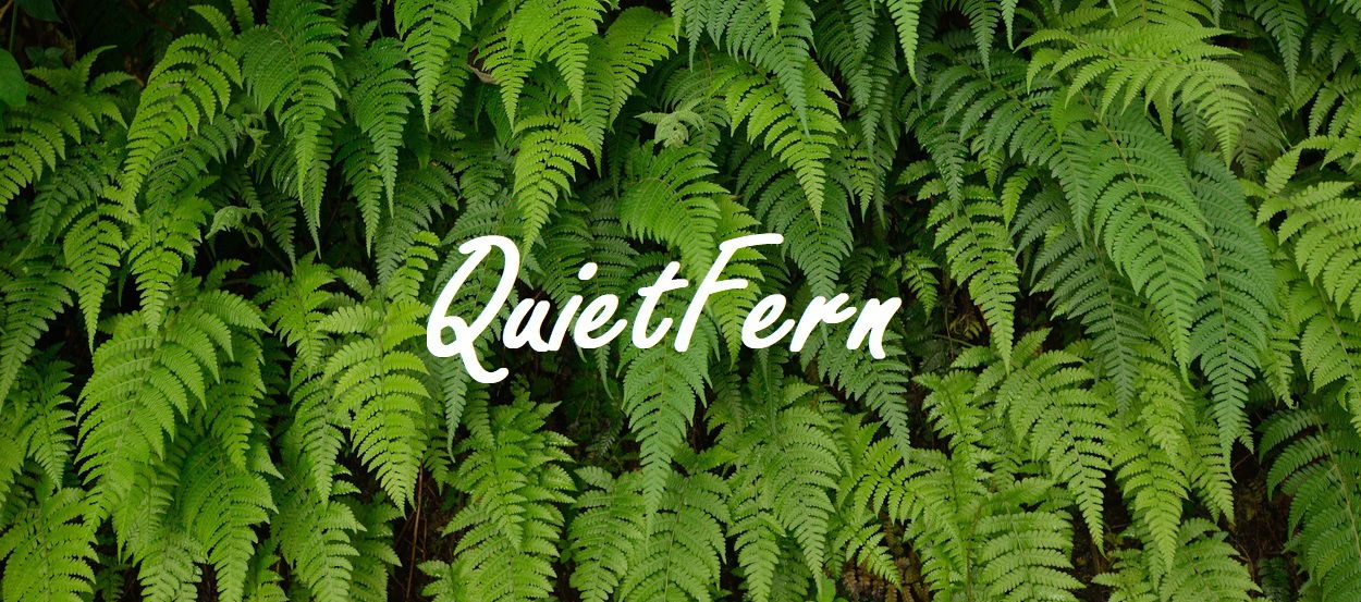🌿Fern🌿 profile banner