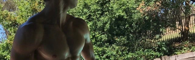 Sloth profile banner