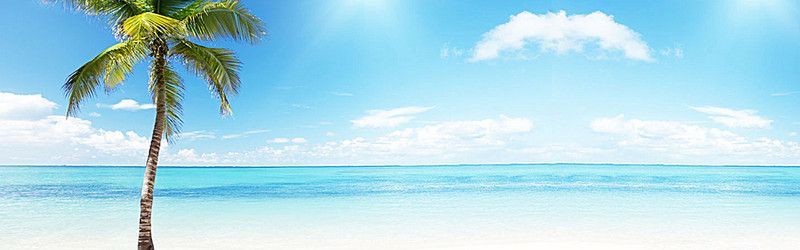 Rachels Ass profile banner