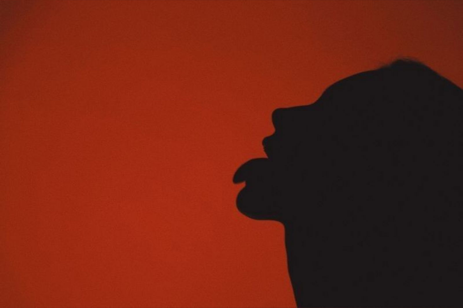 VelvetVixxen profile banner