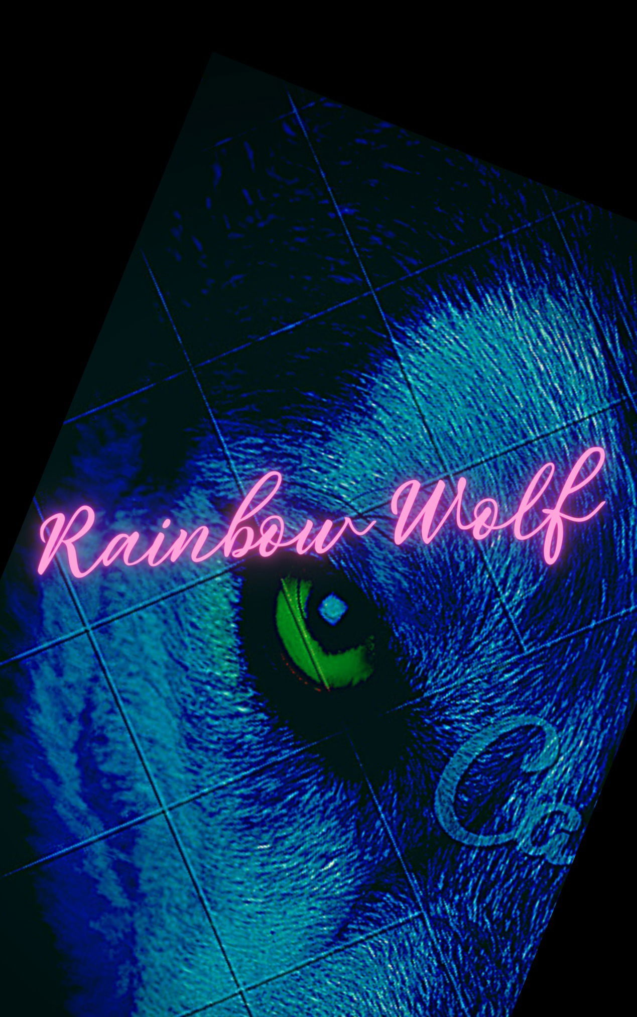 🌈Rainbow Wolf🐺 profile banner