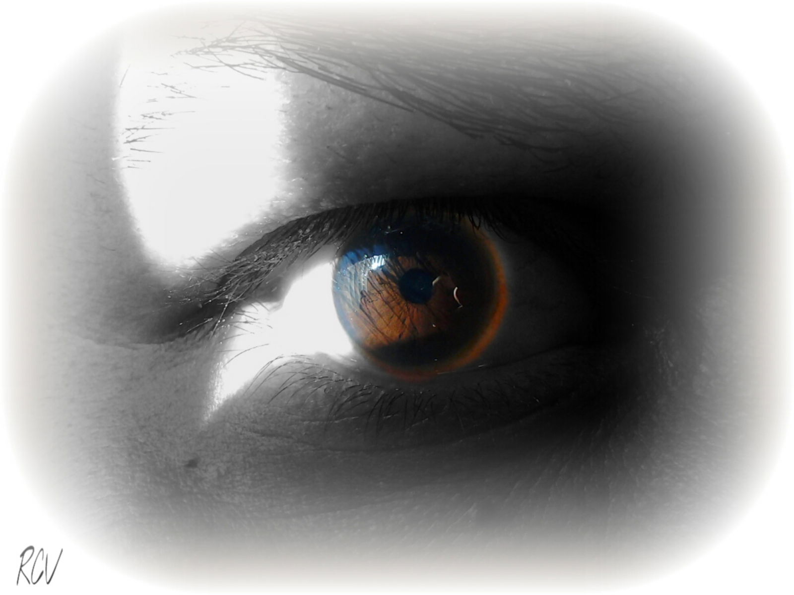 R C-V's Art Page profile banner
