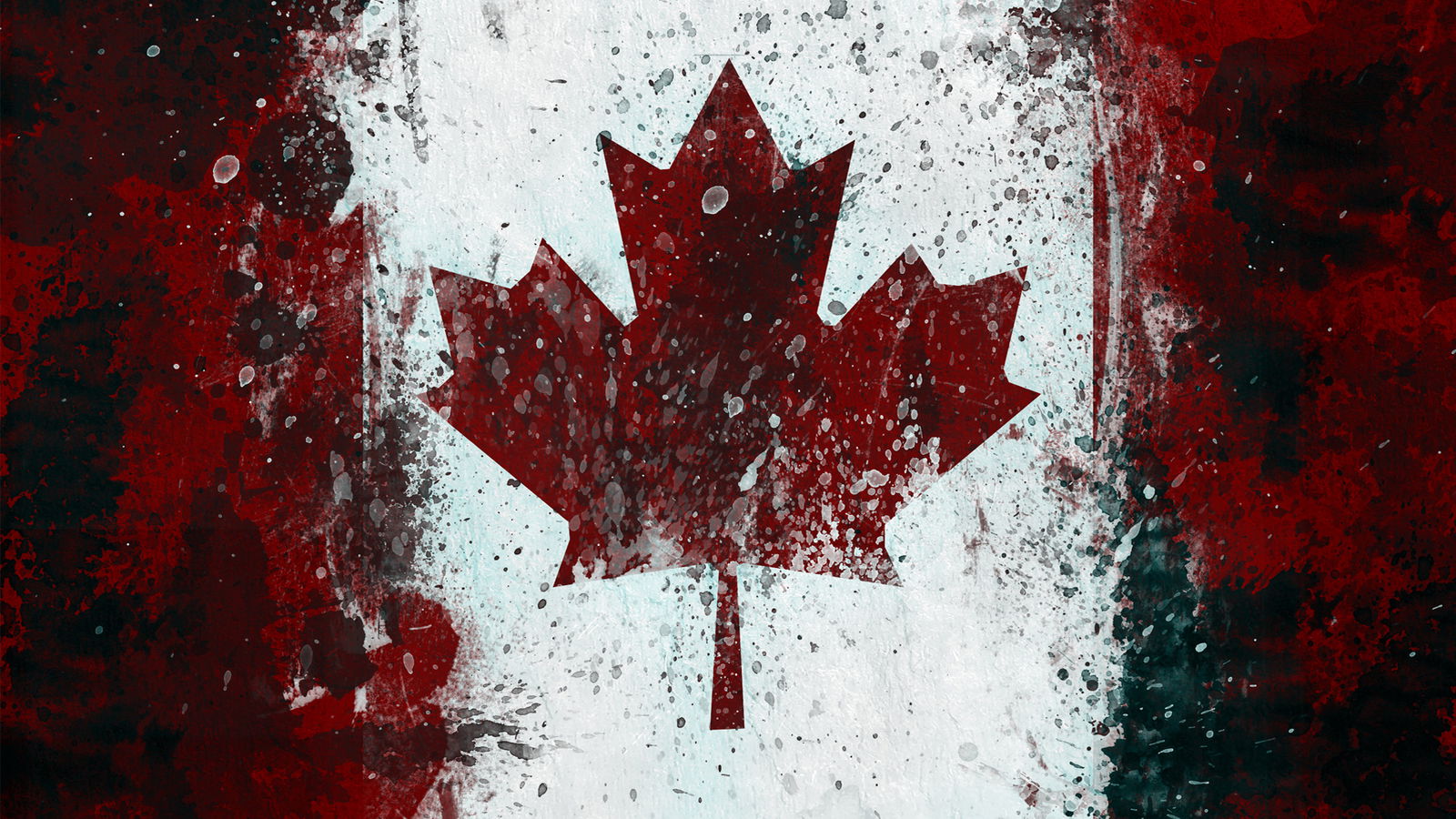 RaphBear profile banner