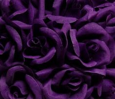 Raven profile banner