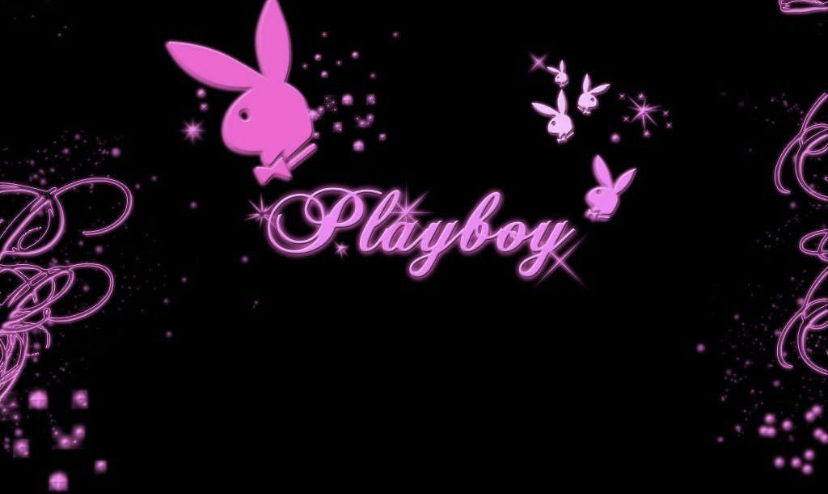 Bunny profile banner