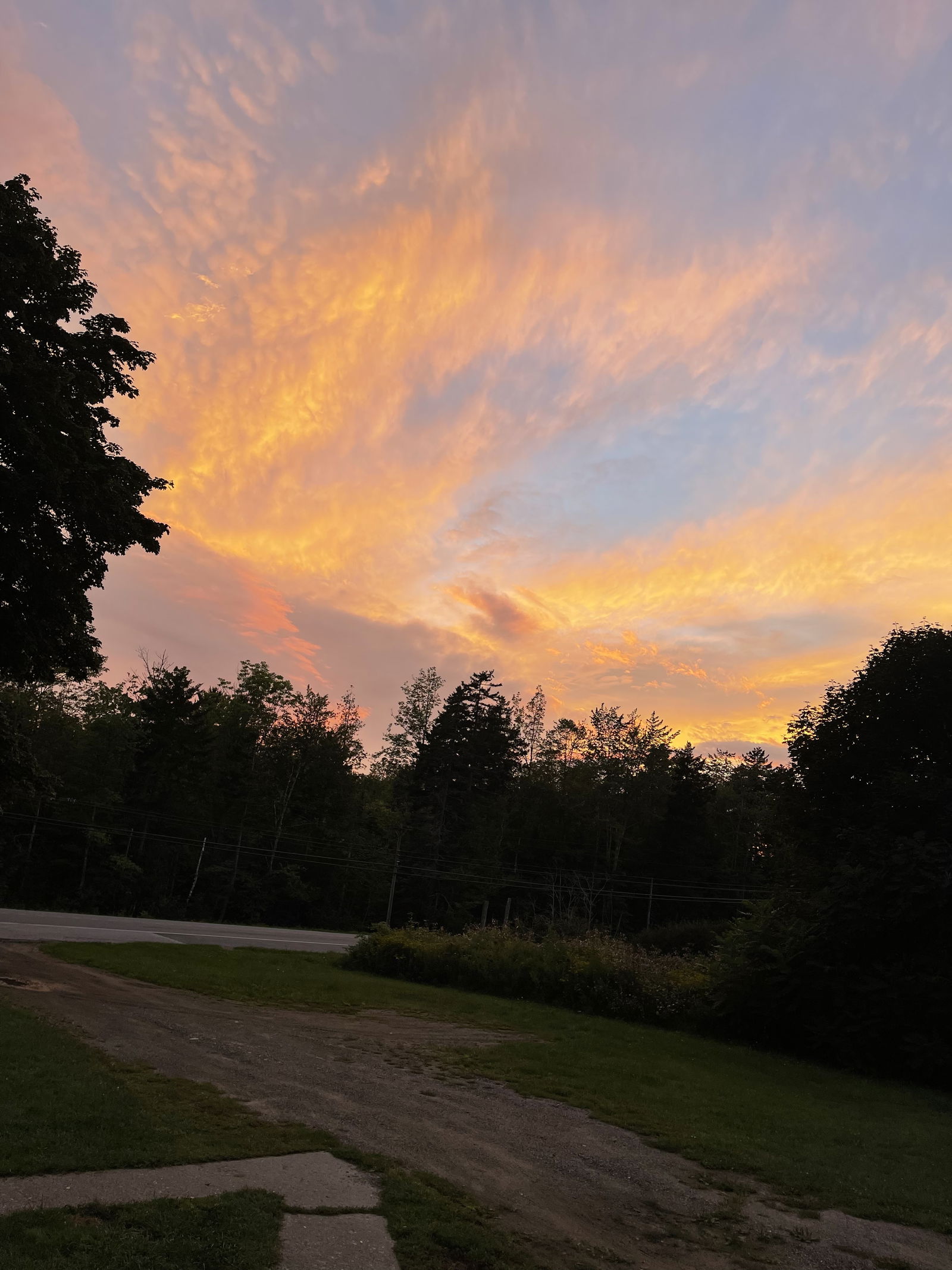 redheadedbeautyfree20 banner