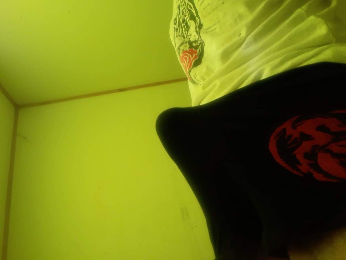 RedMoon profile banner