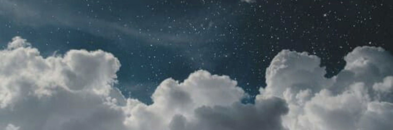 REED profile banner