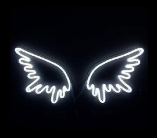 Renee2bossy profile banner