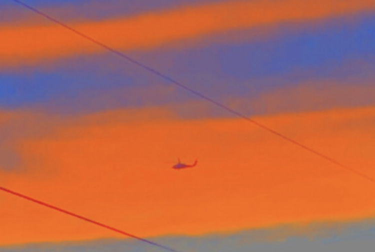 rhi xx profile banner