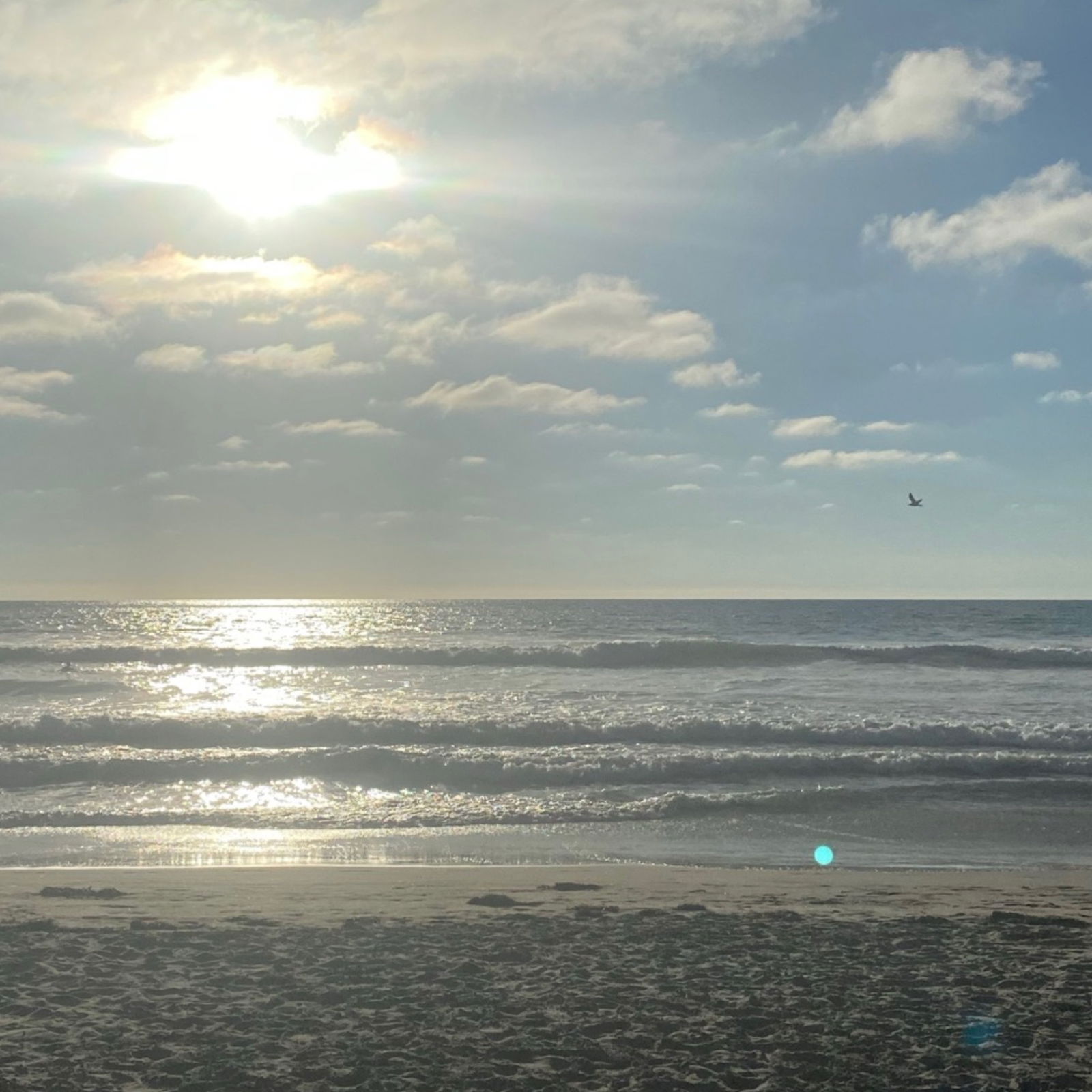 ricanheaux profile banner