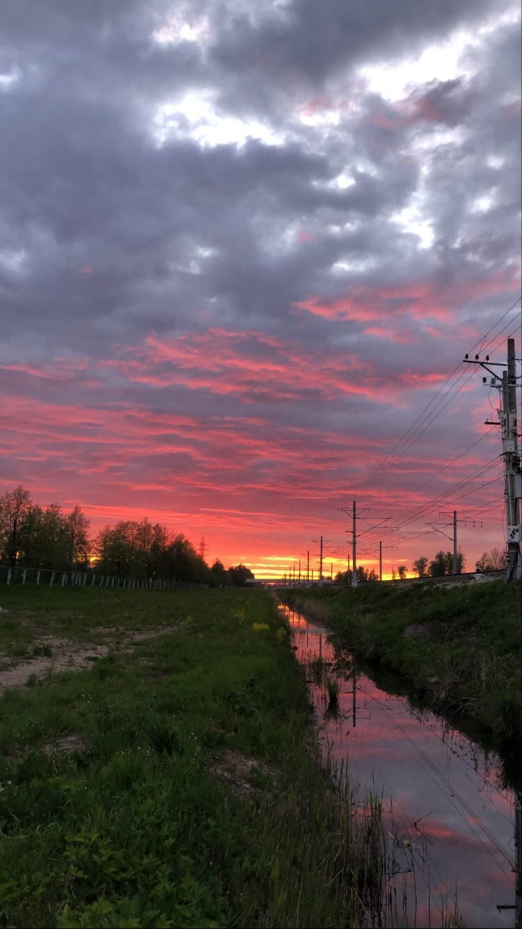 Richard Levitt profile banner