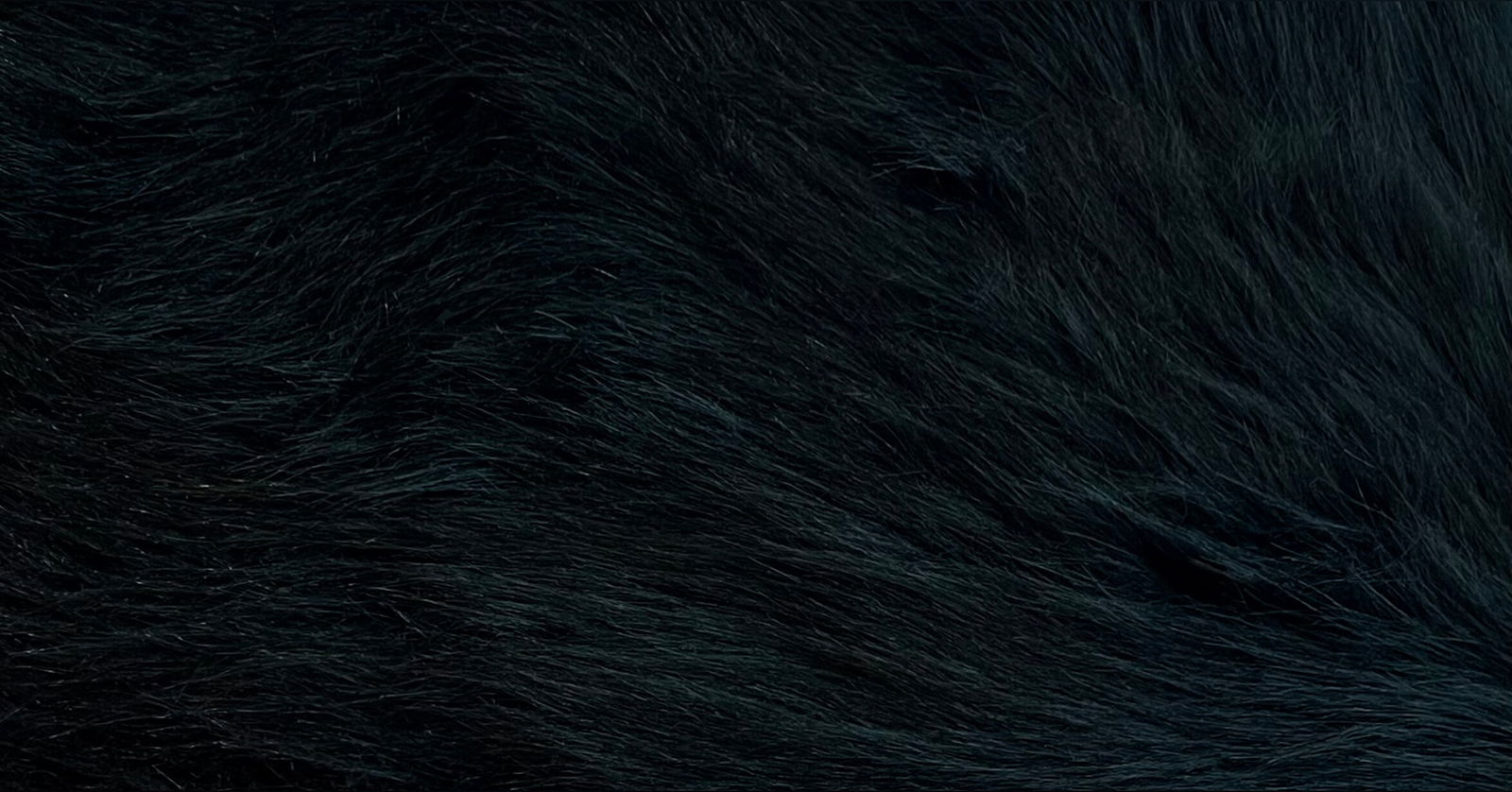Rio Sierhaus profile banner