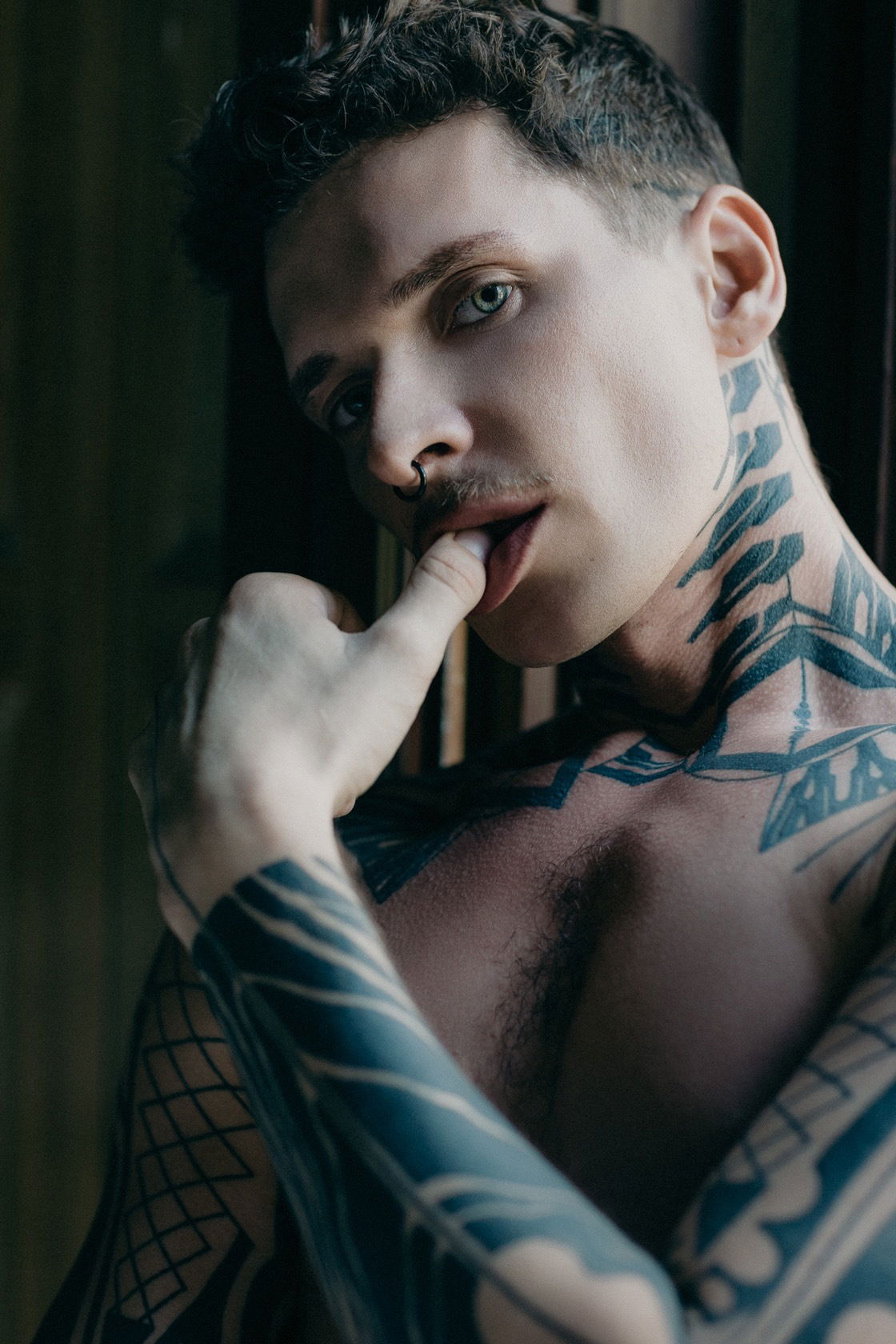 robertroyal01 banner