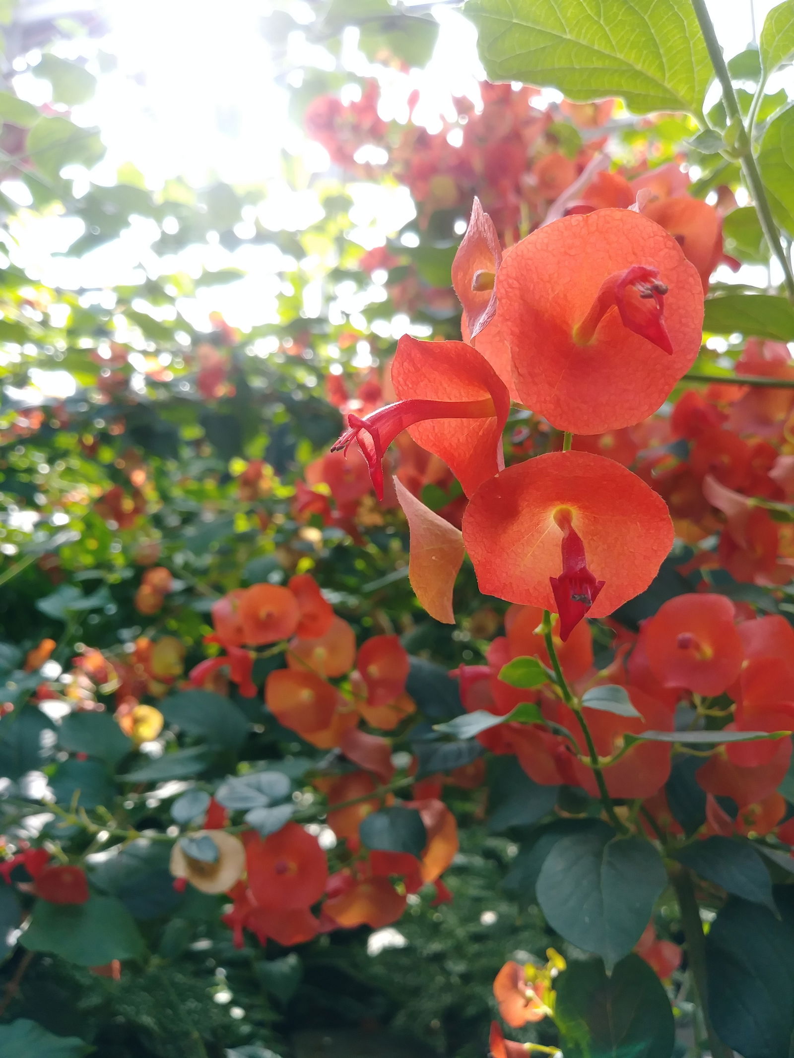 Nona profile banner