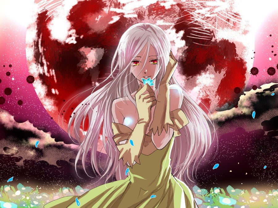 Rome profile banner