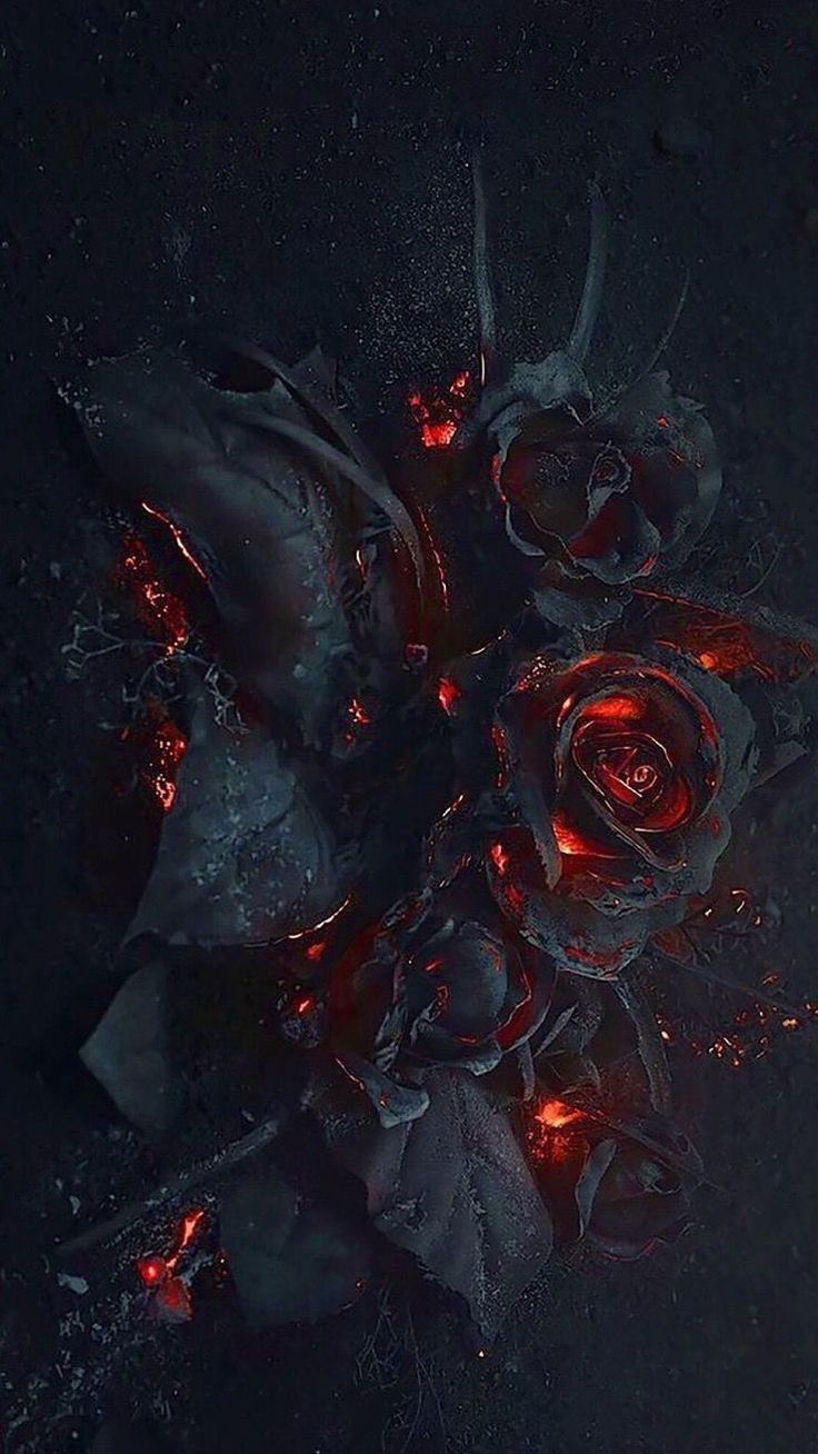 RoseKingnQueen profile banner