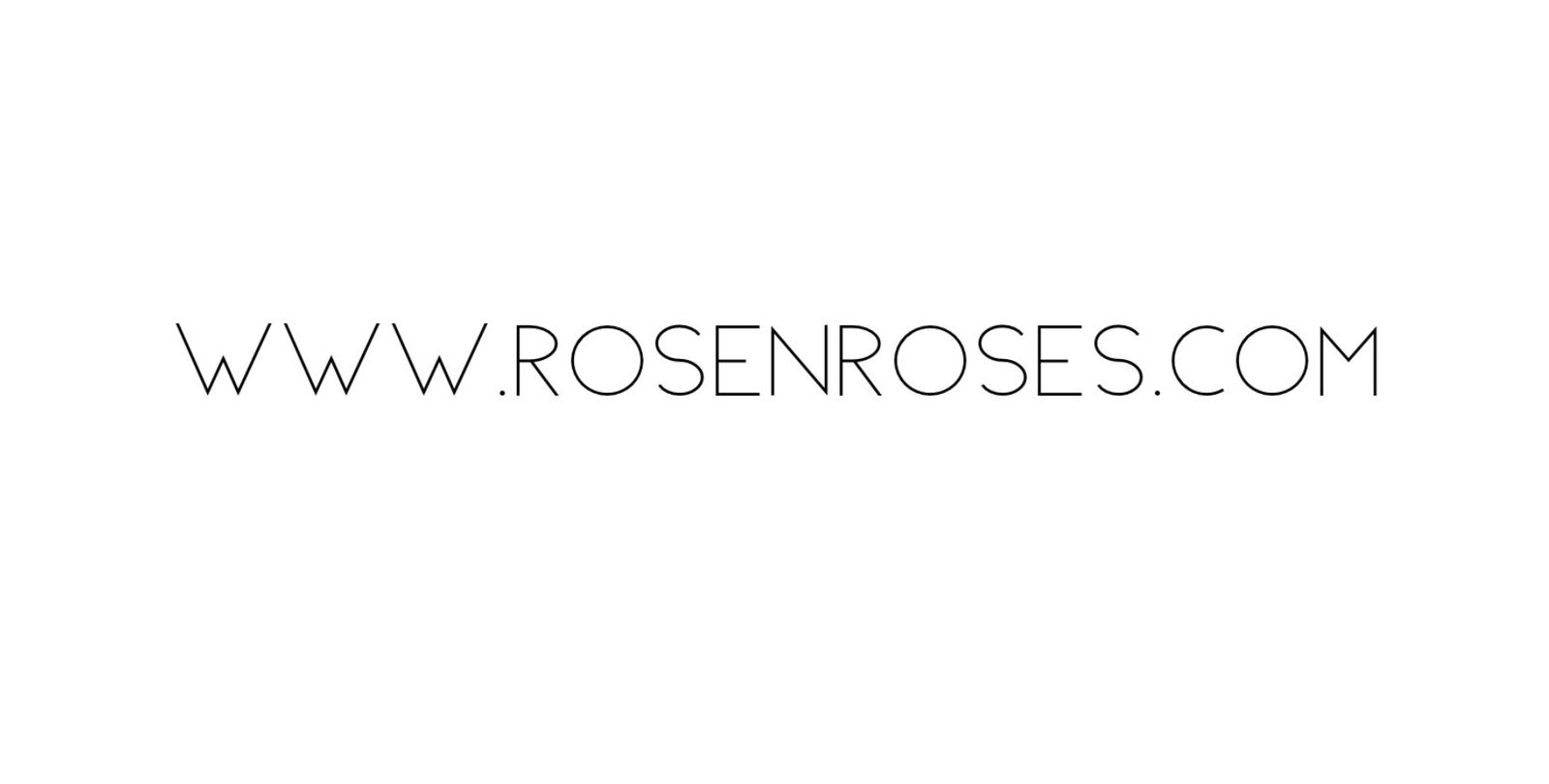 RoseNRoses profile banner
