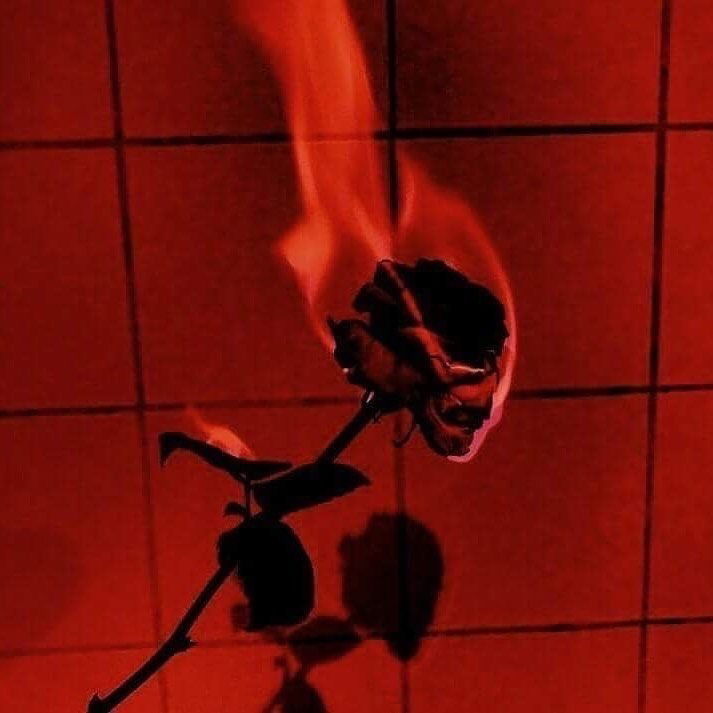 Rose π₯π€ profile banner