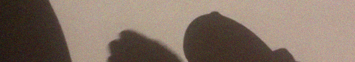 rough volupty profile banner