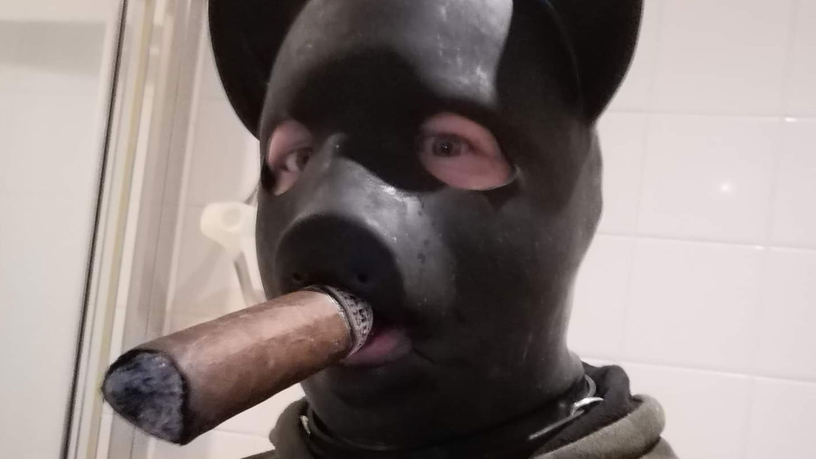 RUBBER CIGAR PIG profile banner