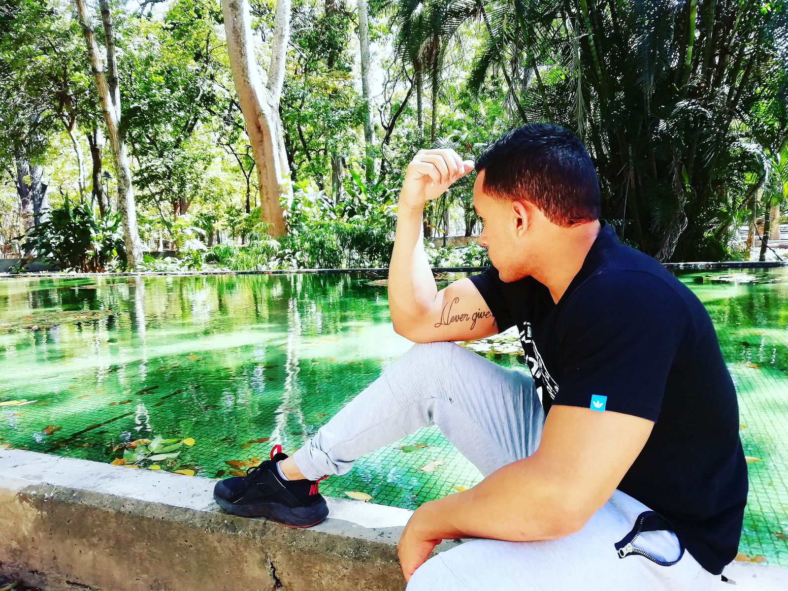 Carlos profile banner