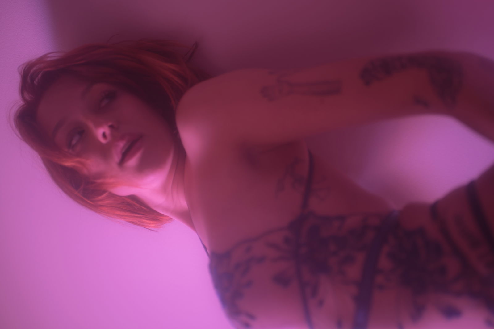 sabrinanichole banner