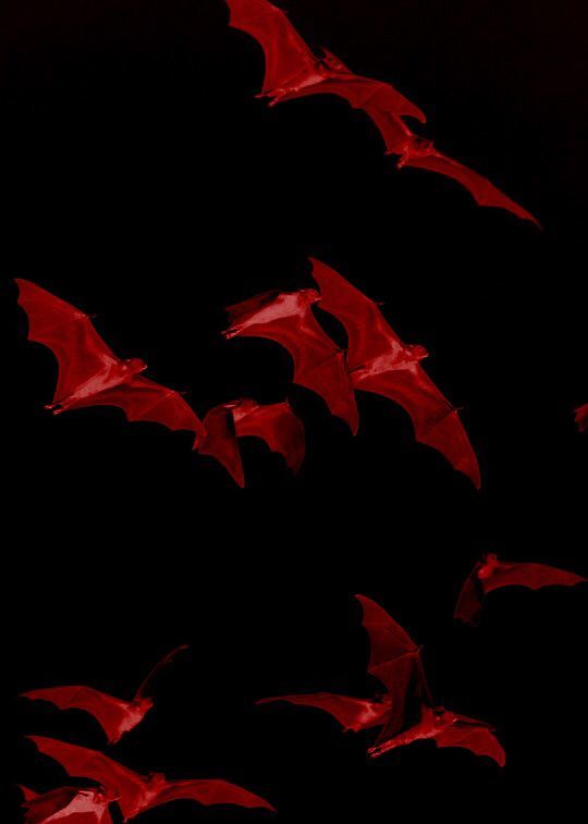 sadsatan999 profile banner