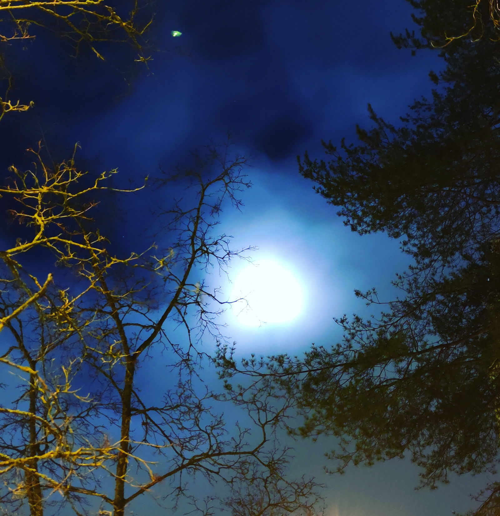 Safiiri Suudelma profile banner