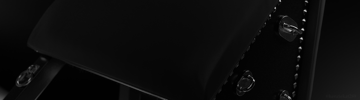 Sage Kitty profile banner