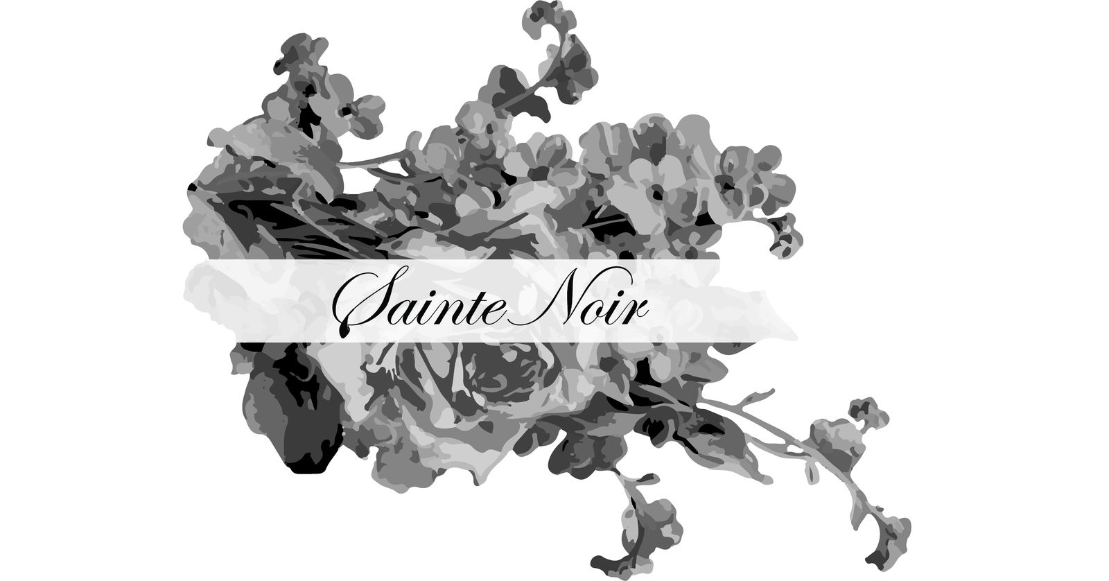 Sainte Noir profile banner