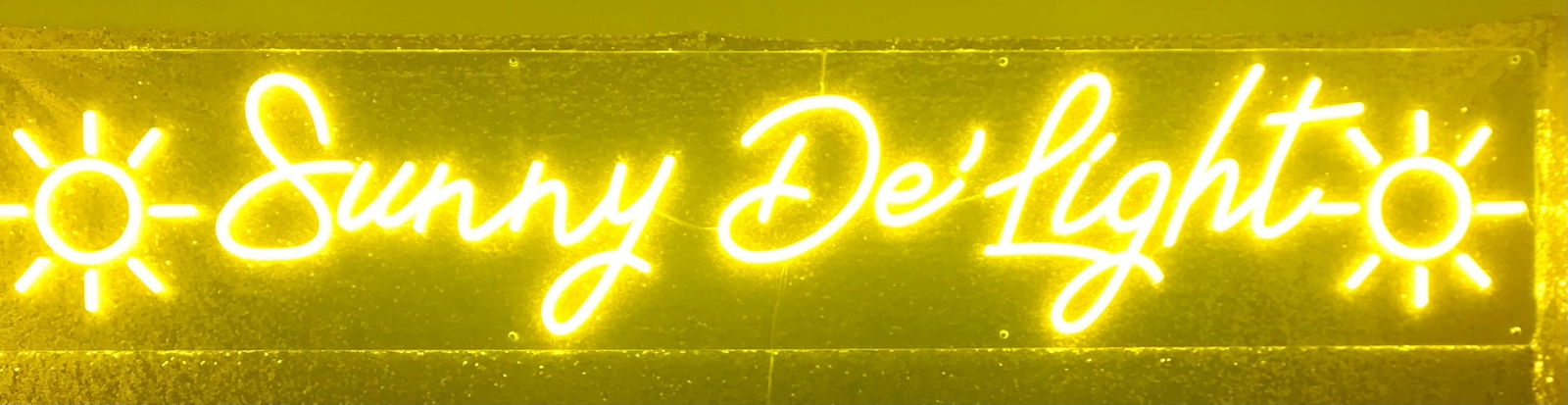 ☀️Sunny De’Light☀️ profile banner