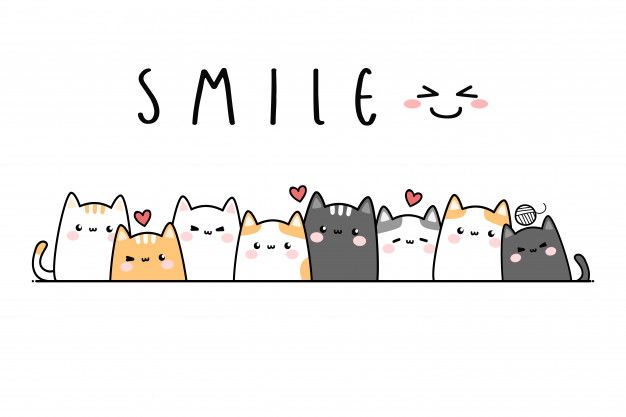 Samm Li profile banner