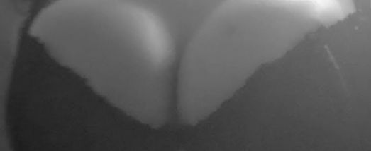 Samantha Wilde profile banner