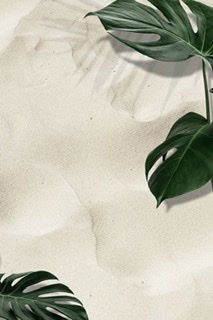 SAMY profile banner