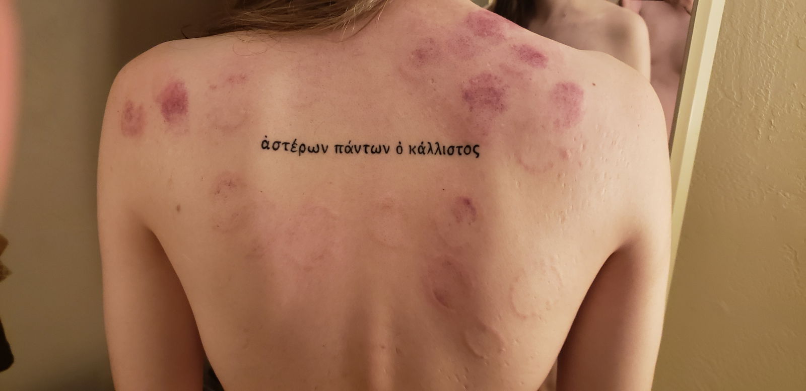 Sappho Sinew profile banner