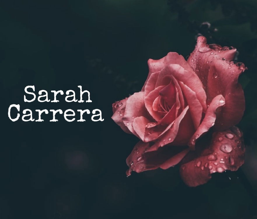 Sarah Carrera profile banner