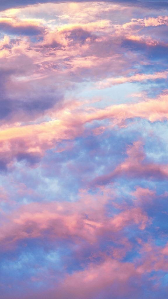 Sarah profile banner
