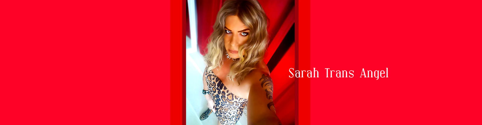 Sarah Trans Angel profile banner