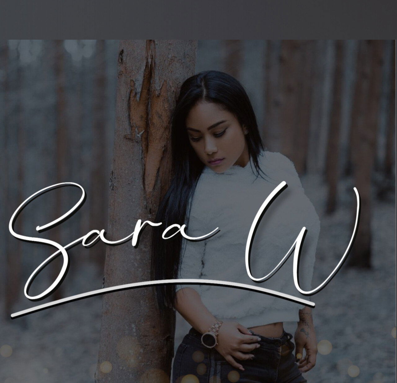 SaraWilson profile banner