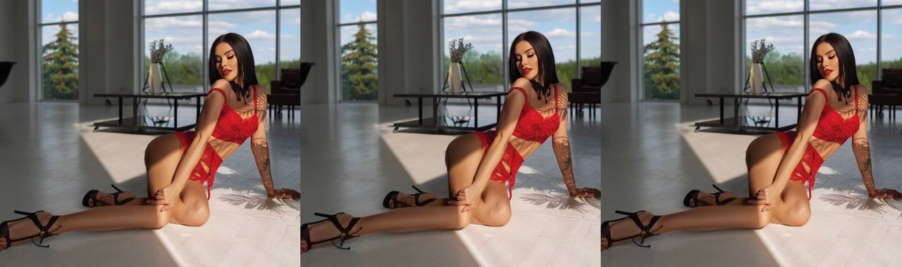 Sasha Colibri profile banner