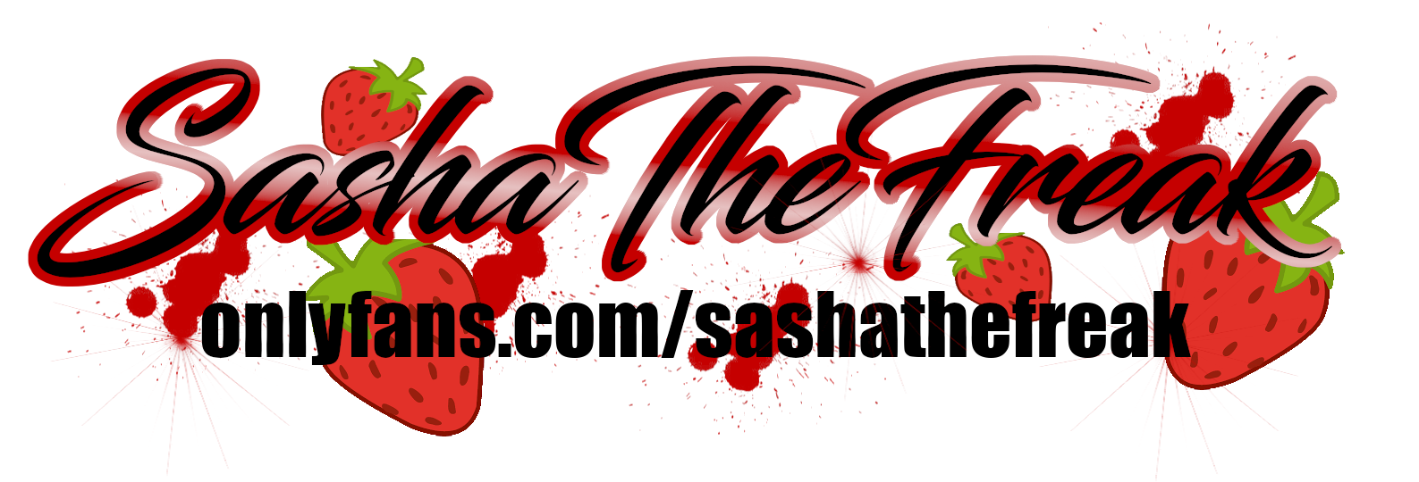 Sasha Michelle profile banner
